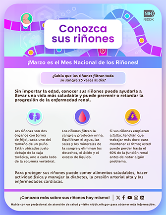 National Kidney Month 2024 Flyer thumbnail - Spanish