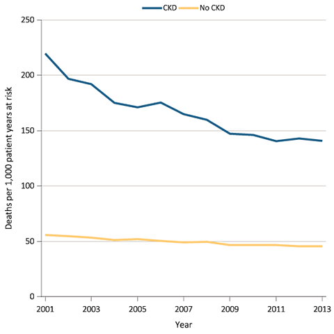Line chart All-cause mortality rates (per 1,000 patient years at risk) for Medicare patients aged 66+, by CKD status and year, 2001-2013 (adjusted)