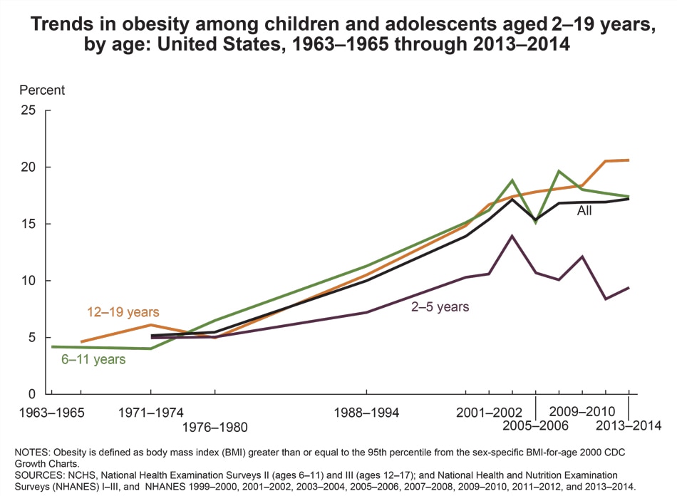 Obesity Pie Chart