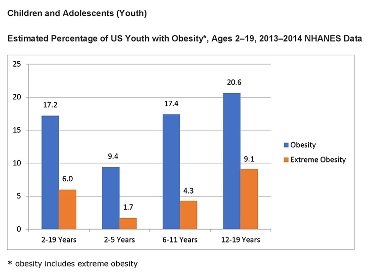 Graph showing estimated percentage of US youth with obesity, broken out by age: 2-19 years, 2-5 years, 6-11 years, and 12-19 years.