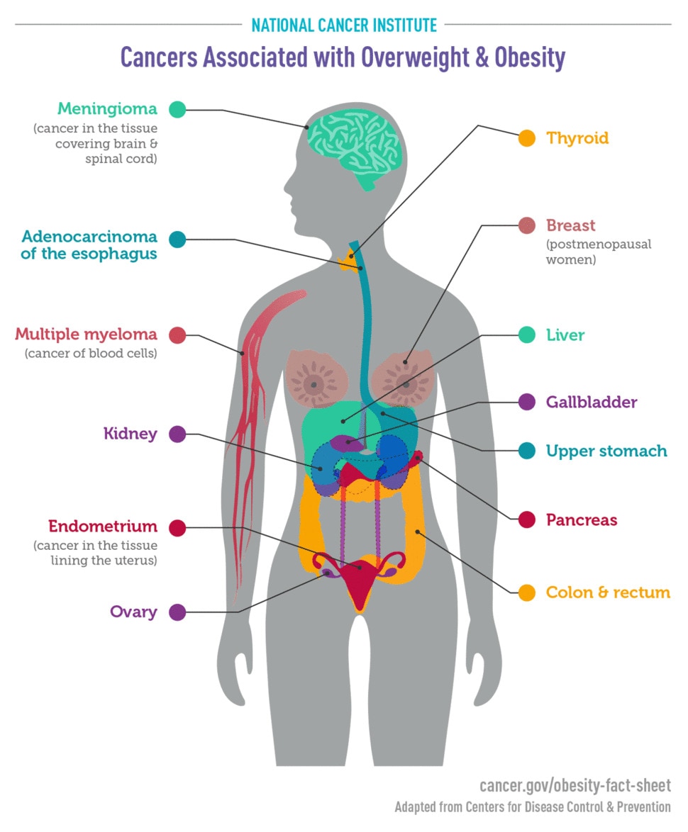 Reduce the risk to your health by keeping waist size less than