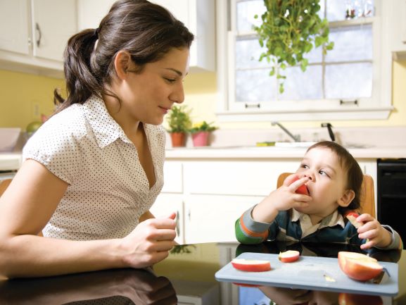 Female babysitter serves apple slices to a toddler boy in a highchair.