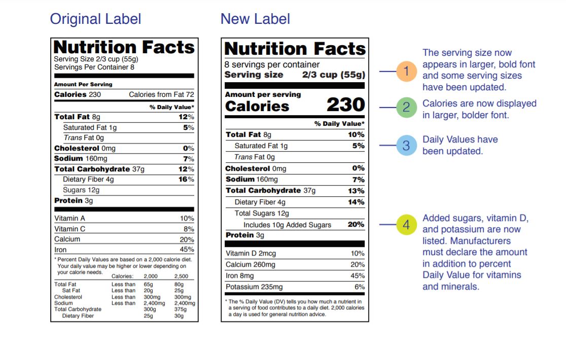 Handy Food Portions Magnets, Food Portion Sizes Guide