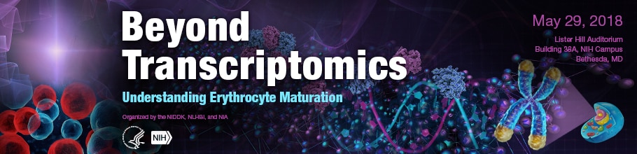 Beyond Transcriptomics: Understanding Erythrocyte Maturation meeting banner.