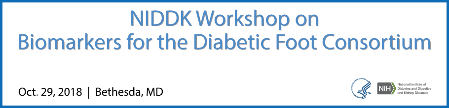 2018 Diabetic Foot Consortium - Biomarker Meeting banner