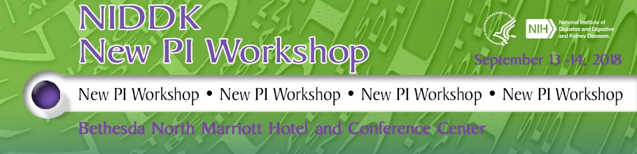 New PI Workshop 2018 Web Banner