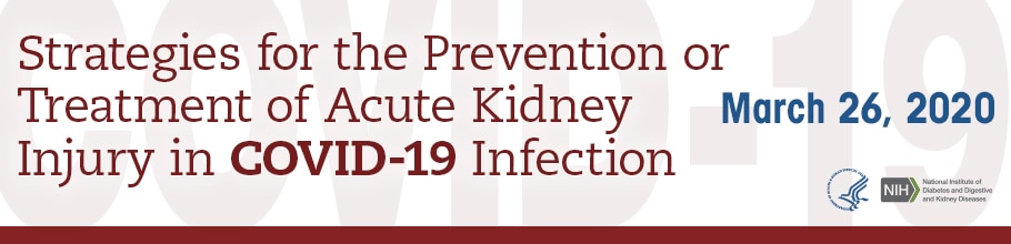 Banner for the Strategies for the Prevention or Treatment of Acute Kidney Injury in COVID-19 Infection Zoom meeting