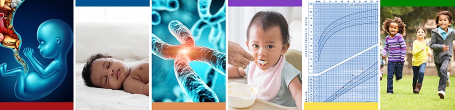 Web banner for Understanding Risk and Causal Mechanisms for Developing Obesity in Infants and Young Children