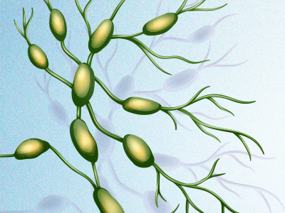 Yet to Be Charted: Lymphatic System in Health and Disease rollup image