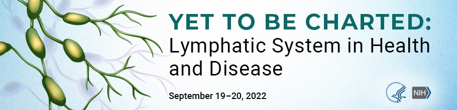 Yet to Be Charted: Lymphatic System in Health and Disease web banner