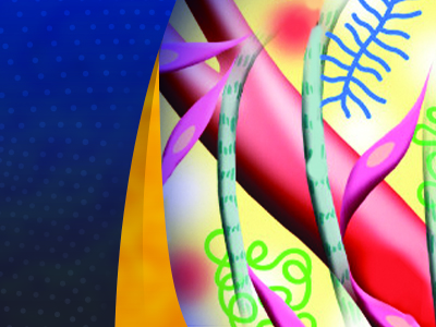 Social media, rollup image for the Unraveling the Secrets of the (Renal) Interstitium meeting