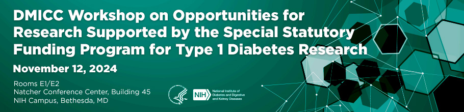Web banner for the DMICC Workshop on Opportunities for Research Supported by the Special Statutory Funding Program for Type 1 Diabetes Research