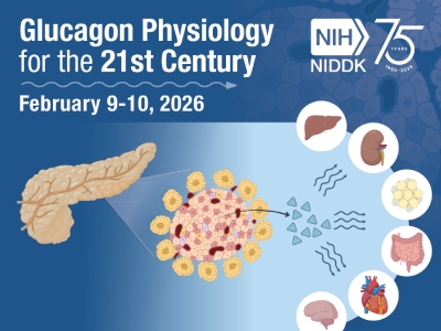 Glucagon Physiology for the 21st Century Banner