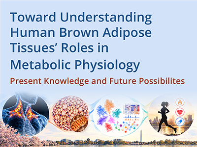 Toward Understanding Human Brown Adipose Tissues' Roles in Metabolic Physiology: Present Knowledge and Future Possibilities rotator