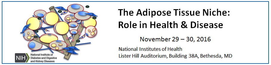 Banner for the 2016 Adipose Tissue Niche: Role in Heath and Disease Meeting.