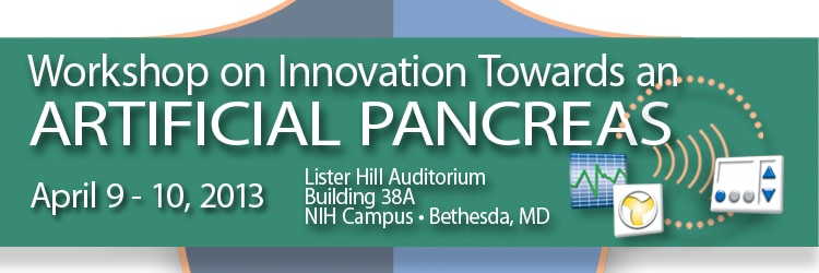 Banner for the 2013 Workshop on Innovation Towards an Artificial Pancreas.