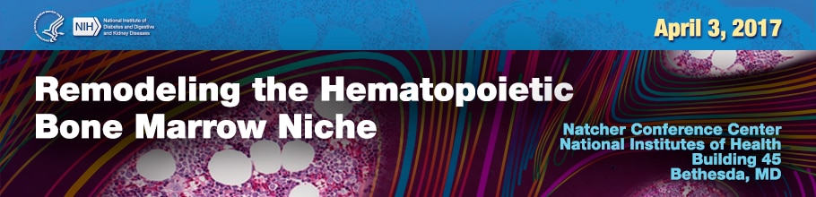 Banner for the 2017 Remodeling the Hematopoietic Bone Marrow Niche Meeting.