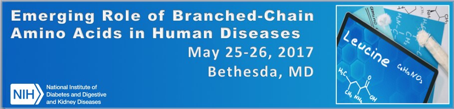 Banner for the 2017 Emerging Role of Branched-Chain Amino Acids in Human Diseases Meeting.