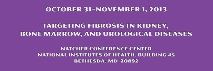 Banner for the 2013 Targeting Fibrosis in Kidney, Bone Marrow, and Urological Diseases Meeting.