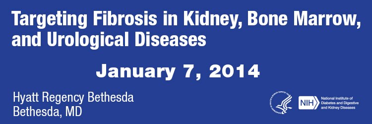 Banner for the 2014 Targeting Fibrosis in Kidney, Bone Marrow, and Urological Diseases Meeting.