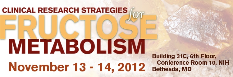 Banner for the 2012 Clinical Research Strategies for Fructose Metabolism Meeting.