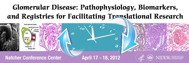 Banner for the 2012 Glomerular Disease: Pathophysiology, Biomarkers, and Registries for Facilitating Translational Research Meeting.