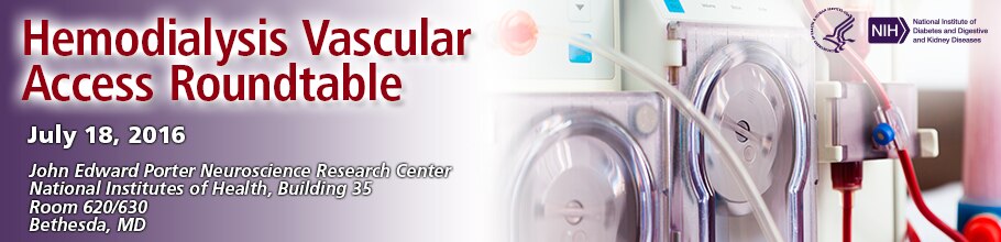Banner for the 2016 Hemodialysis Vascular Access Roundtable Meeting.