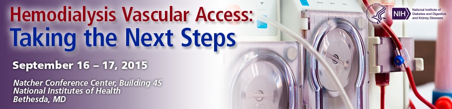 Banner for the 2015 Hemodialysis Vascular Access: Taking the Next Steps Meeting.