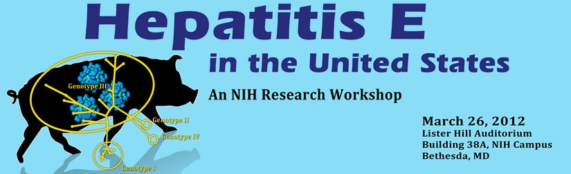 Banner for the 2012 Hepatitis E in the United States Workshop.