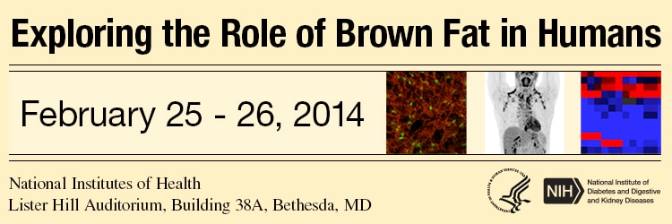 Banner for the 2014 Exploring the Role of Brown Fat in Humans Meeting.