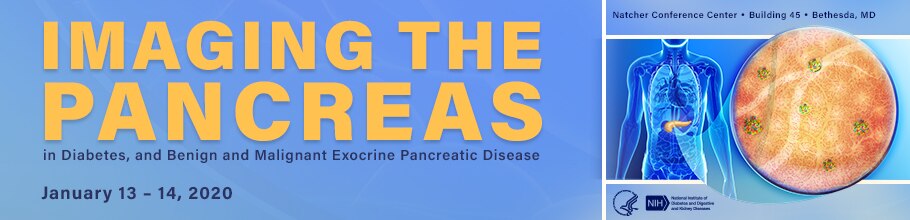 Imaging the Pancreas web banner