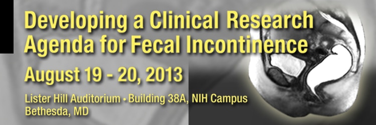 Banner for the 2013 Developing a Clinical Research Agenda for Fecal Incontinence Meeting.