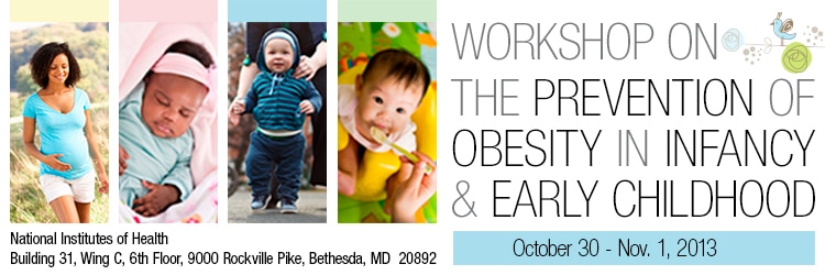 Banner for the 2013 Workshop of The Prevention of Obesity in Infancy and Early Childhood.