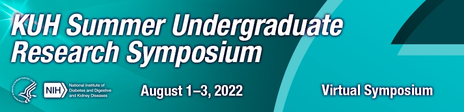 KUH Summer Undergrad 2022 web banner