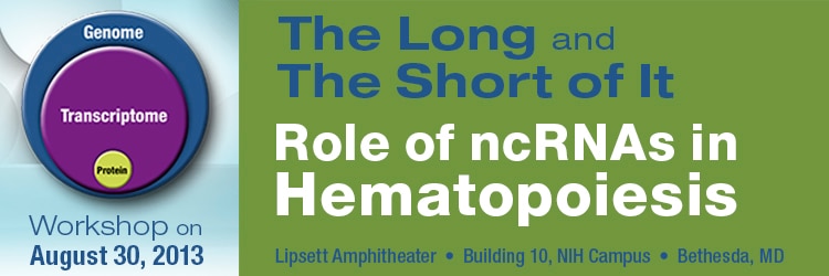 Banner for the 2013 Workshop on the Role of ncRNAs in Hematopoiesis