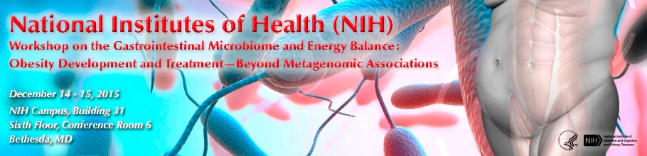 Banner for the 2015 Workshop on the Gastrointestinal Microbiome and Energy Balance