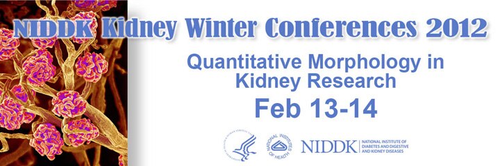 Banner for the 2012 NIDDK Kidney Winter Conferences