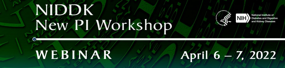 New PI Workshop web banner