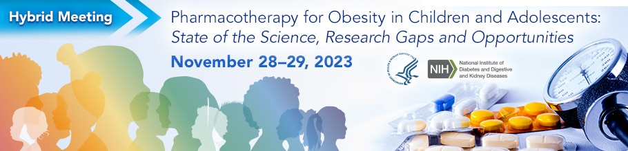 Banner for the Pharmacotherapy for Obesity in Children and Adolescents meeting workshop.