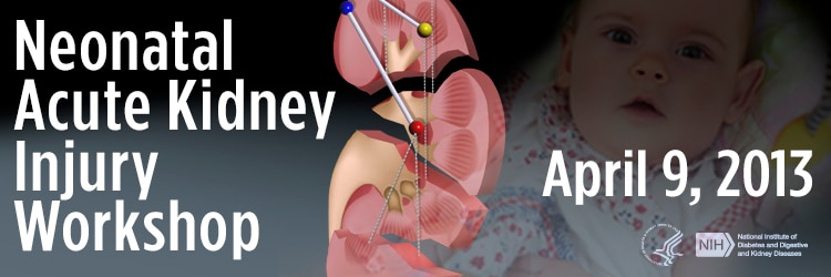 Banner for the 2013 Neonatal Acute Kidney Injury Workshop