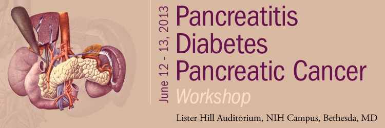 Banner for the 2013 Workshop on Pancreatitis, Diabetes and Pancreatic Cancer