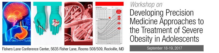 Banner for the 2017 Workshop on Developing Precision Medicine Approaches to the Treatment of Severe Obesity in Adolescents: Research Gaps and Opportunities