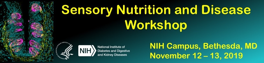 Sensory Nutrition and Disease Workshop banner