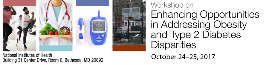 Banner for the 2017 Workshop on Enhancing Opportunities in Addressing Obesity and Type 2 Diabetes Disparities