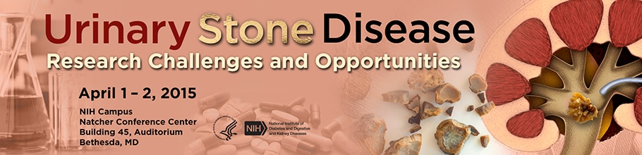 Banner for the 2015 Workshop on Urinary Stone Disease