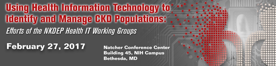 Banner for the 2017 Workshop on Using Health IT to Identify and Manage CKD Populations: Efforts of the NKDEP Health IT Working Groups