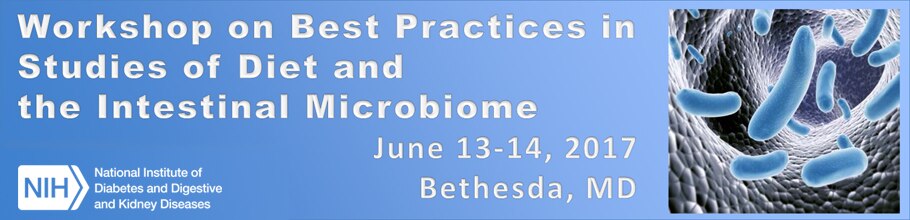 Banner for the 2017 Workshop on Best Practices for Studies of Diet and the Intestinal Microbiome