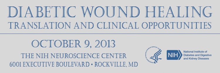 Banner for the 2013 Workshop on Diabetic Wound Healing-Translation and Clinical Opportunities