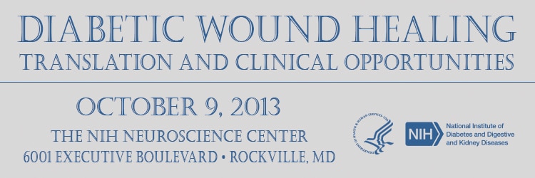 Banner for the 2013 Workshop on Diabetic Wound Healing-Translation and Clinical Opportunities