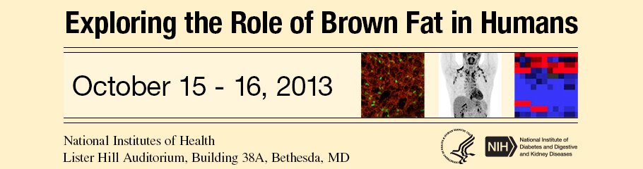 Banner for the 2013 Exploring the Role of Brown Fat in Humans Meeting.